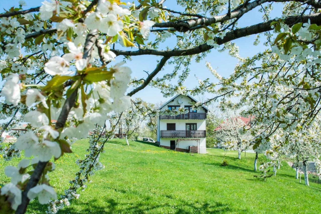 Hotel House Spehar Seliste Dreznicko Exteriér fotografie