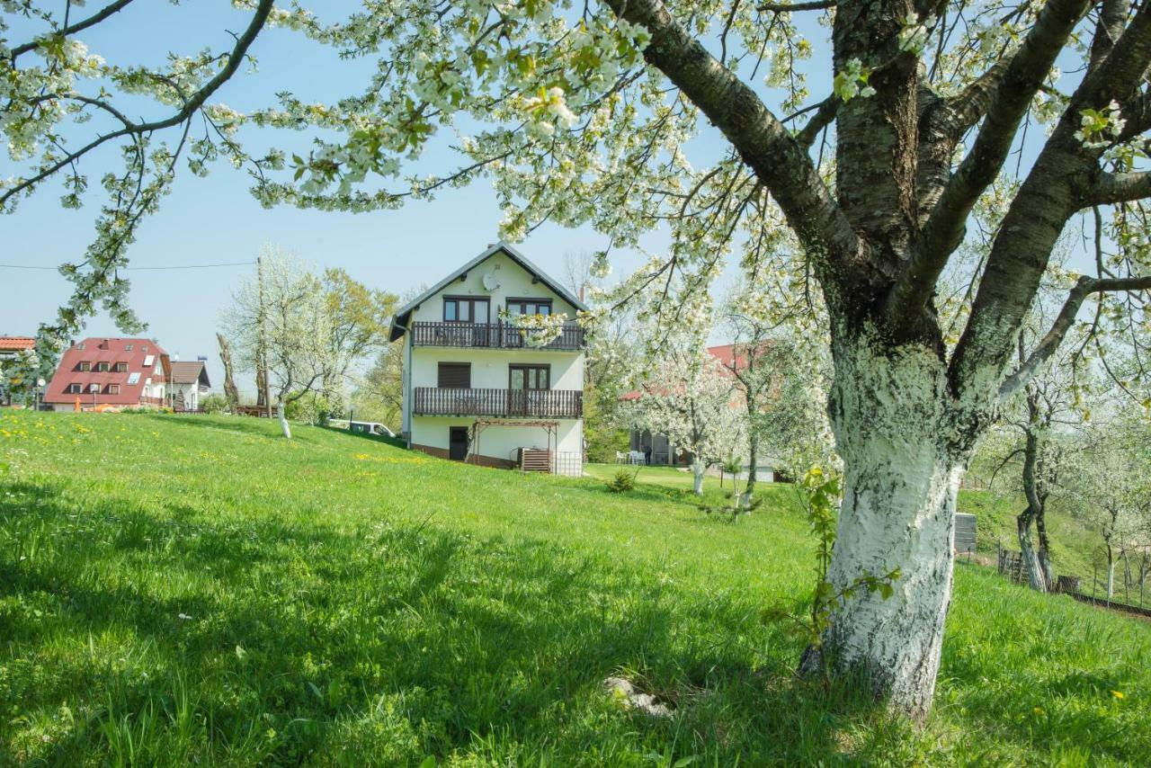 Hotel House Spehar Seliste Dreznicko Exteriér fotografie